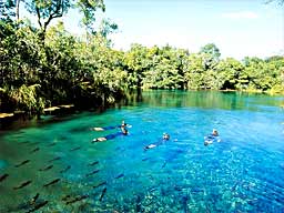 Bonito, MS - ecoturismo