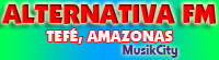 Tefé, turismo, Amazonas